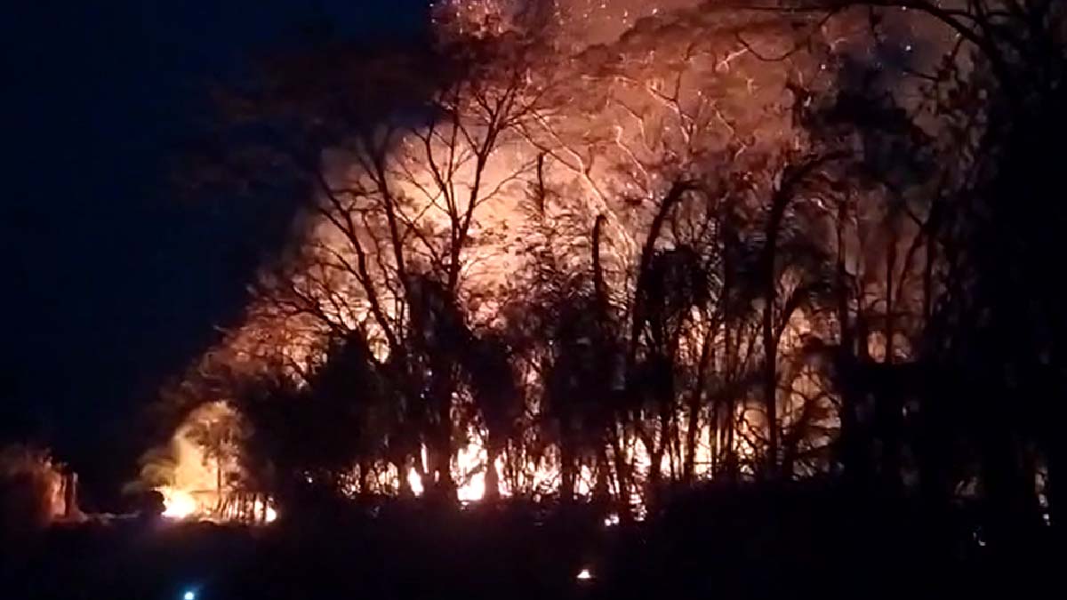 Você está visualizando atualmente No Pantanal, bombeiros combatem incêndio que se aproxima da BR-262