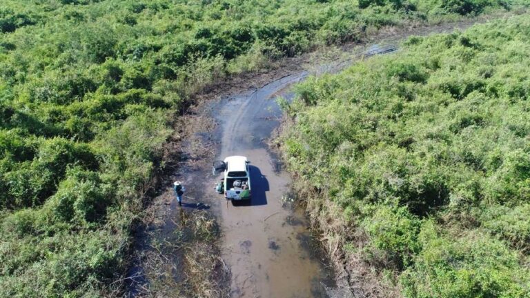 Governo atende solicitação de Evander e deve iniciar construção da estrada em Porto Esperança