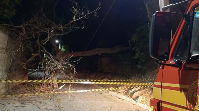 Queda de árvore e acidente de trânsito mobilizam equipes do Corpo de Bombeiros