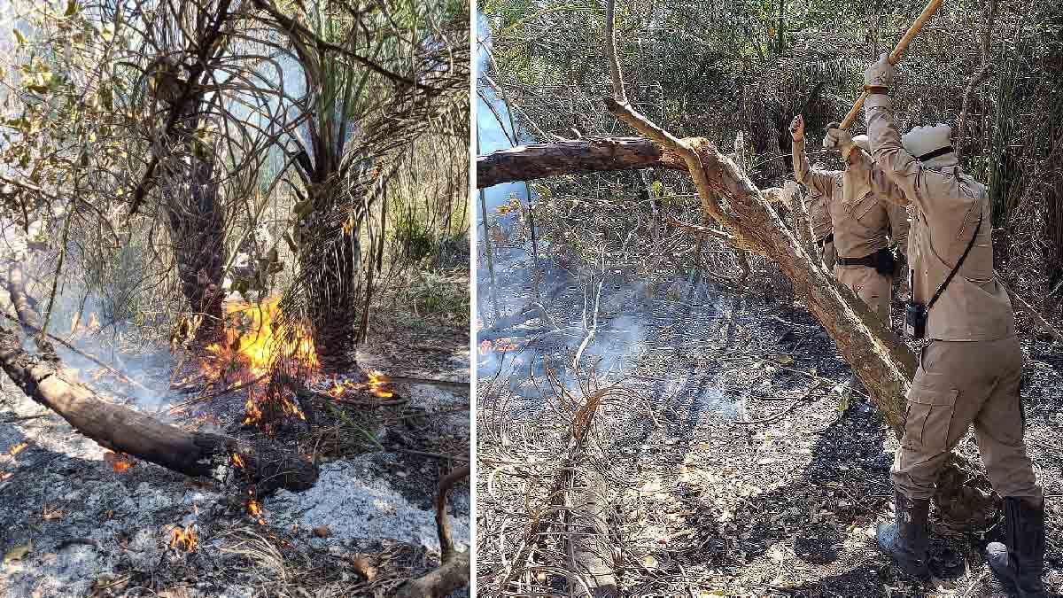Você está visualizando atualmente Guarnições dos Bombeiros mantém combate a incêndios na região do Pantanal