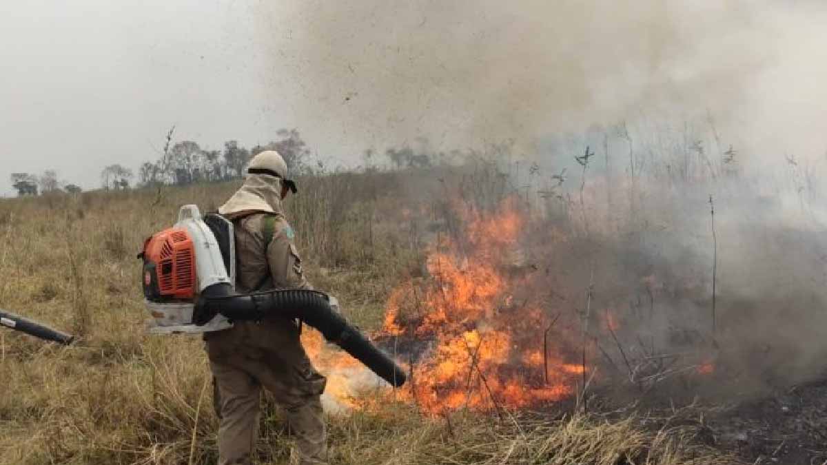 Você está visualizando atualmente Chegada da chuva no Pantanal elimina os focos de calor; bombeiros monitoram região