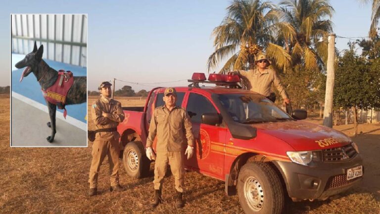 Bombeiros fazem buscas por trabalhador rural que desapareceu no Pantanal da Nhecolândia