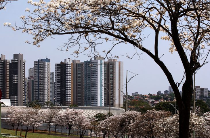 Meteorologia prevê quarta-feira de calor e chuva no período da tarde