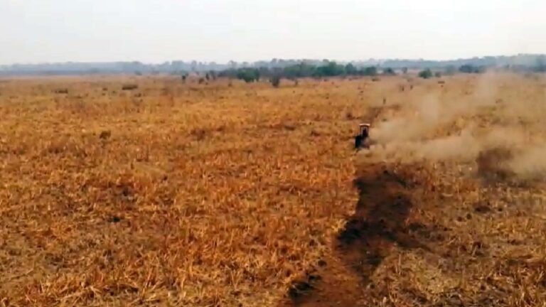 Frentes de trabalho continuam para conter avanço do fogo no Pantanal