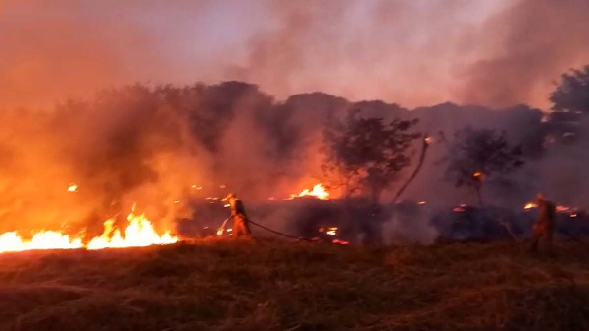 fogo terreno