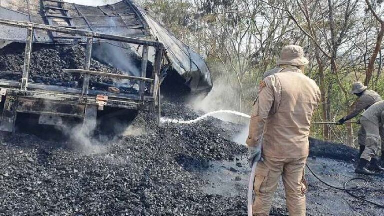 Incêndio se espalha pela vegetação após caminhão com carvão tombar e pegar fogo na BR-262