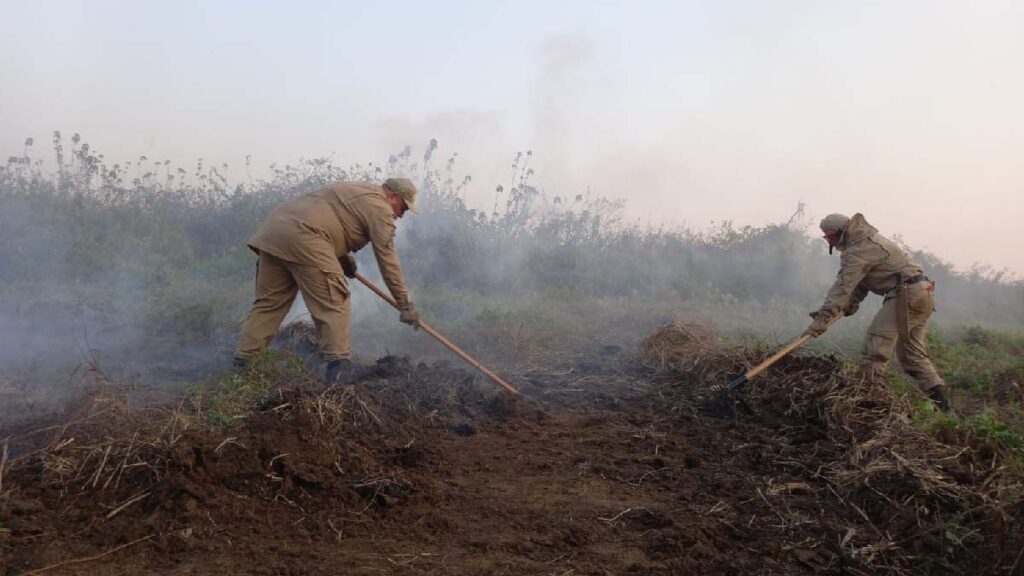 Incêndio se espalha pela vegetação após caminhão com carvão tombar e pegar fogo na BR-262 2 incendios