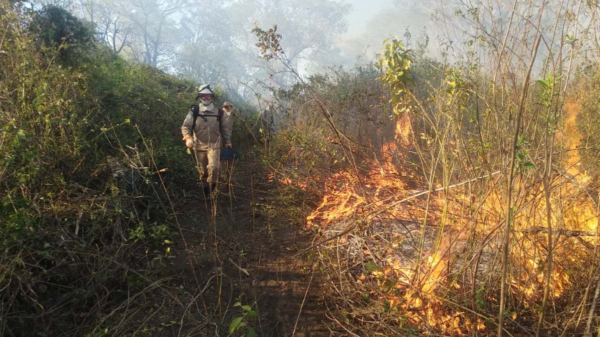 Você está visualizando atualmente Bombeiros se mobilizam para combater novos focos de incêndio no Paiaguás