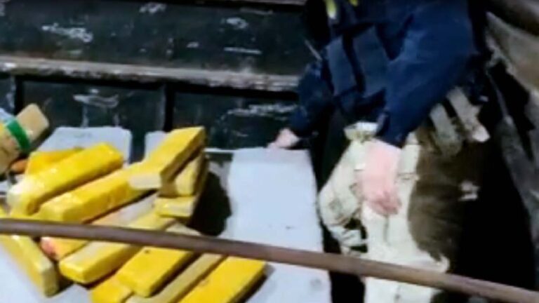 PRF apreende mais de 2 toneladas de maconha escondida em postes de concreto em MS