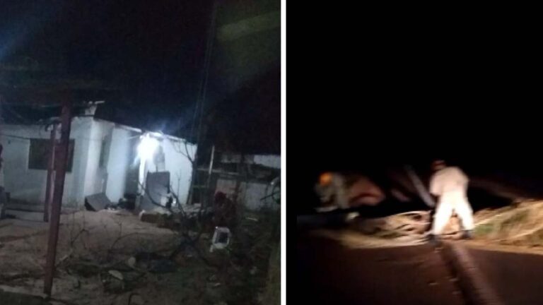 Ventania derruba árvores na área urbana e BR-262 em Corumbá