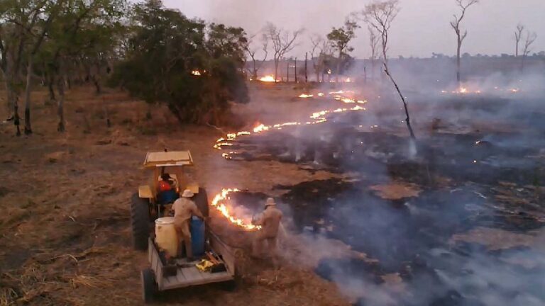 Operação Hefesto recebe reforço de equipes após aumento de focos de incêndios no Pantanal