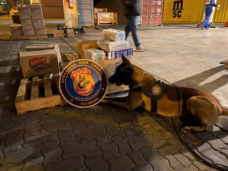 PF encontra cinco toneladas de cocaína em caixas de sabão no RJ 2 03c0b9d3 8e88 4e5e 9421 bc7f88401f9b