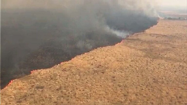Queimadas se agravam e bombeiros reforça combate ao fogo em Porto Esperança
