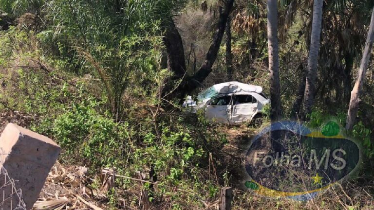 Motorista morre após sair da pista e colidir em árvore na BR-262