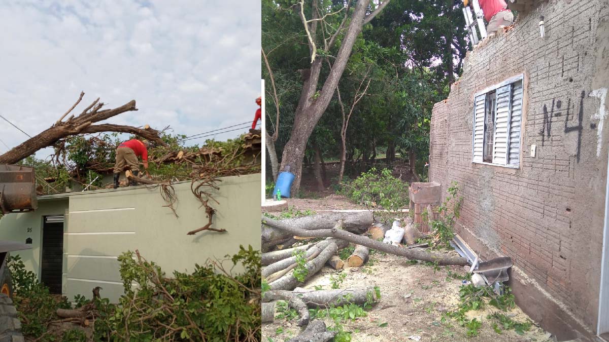 Você está visualizando atualmente Bombeiros registraram 42 quedas de árvores durante tempestade em Corumbá