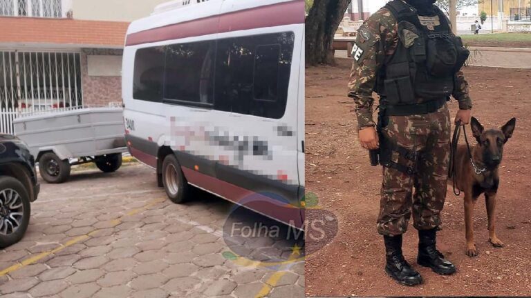 Cão farejador do Exército encontra mais de 50 Kg de entorpecentes em Van na BR-262