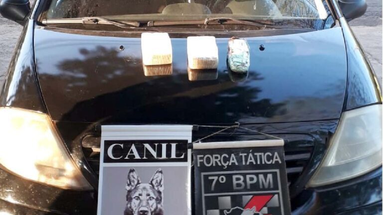 Com auxílio de cães farejadores, três mulheres são presas por tráfico de drogas