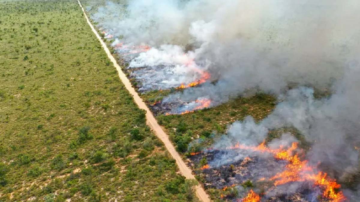 Você está visualizando atualmente Prorrogada por mais 60 dias a proibição de queima controlada na planície pantaneira