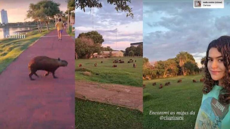 Em MS, Maísa curte capivaras e desvenda mistério sobre sua origem sul-mato-grossense
