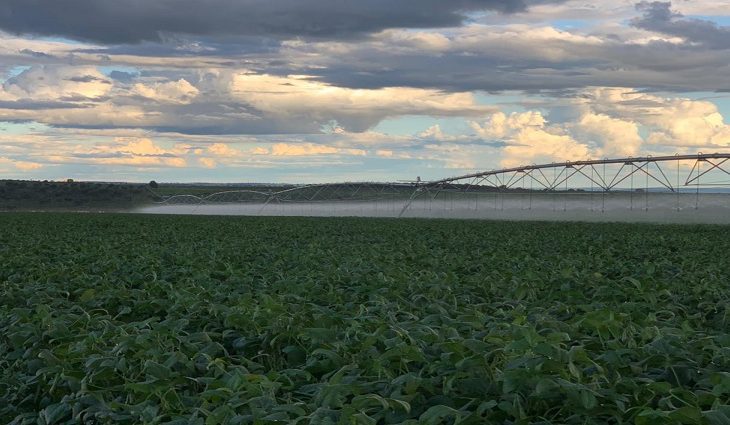 Dezembro terá influência do La Niña e estiagem pode ser acentuada em MS