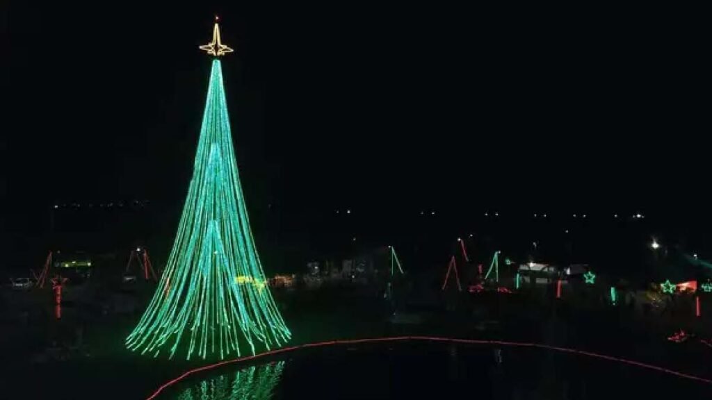 arvore natal catedral erudita