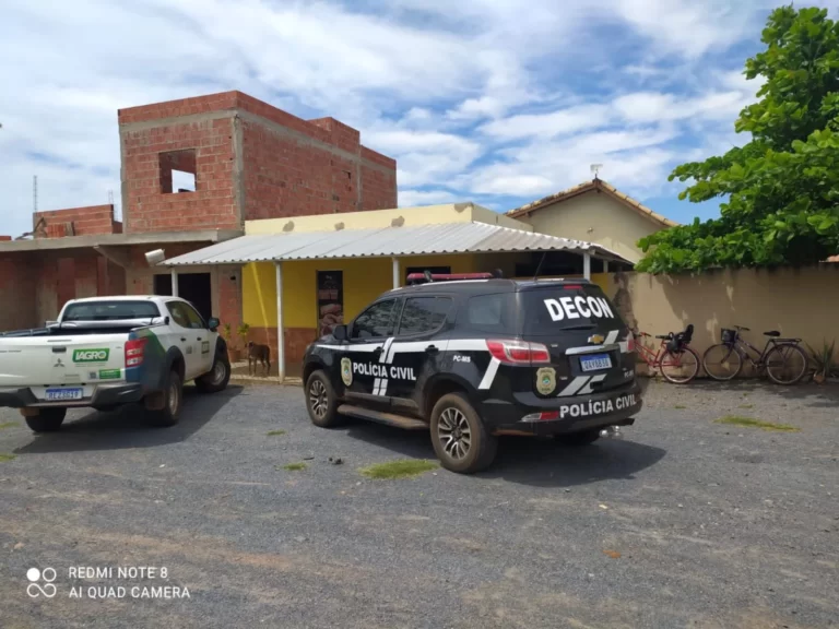 Ação conjunta combate comércio de produtos e abate clandestino de animais no interior do Estado