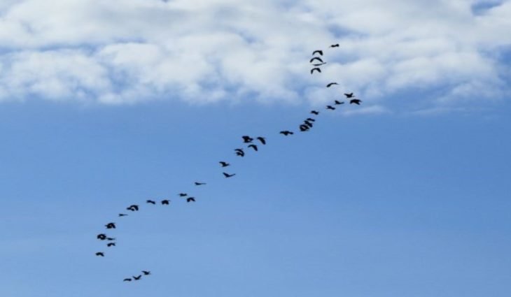 Terça-feira de tempo firme e chuvas isoladas em Mato Grosso do Sul