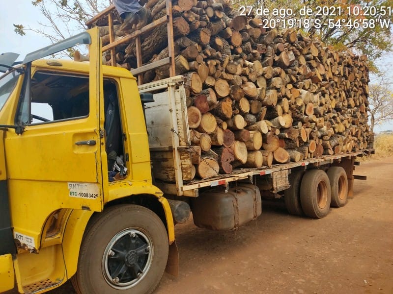 Lenha CG 28 de agosto de 2021