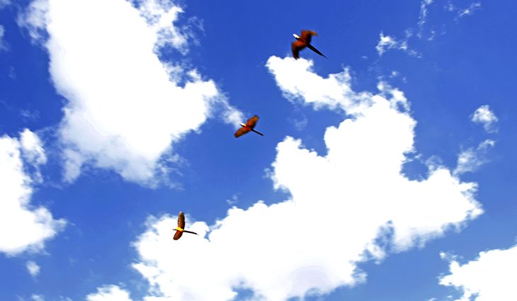 Quinta-feira será ensolarada com chance de temporais na região sul do Estado