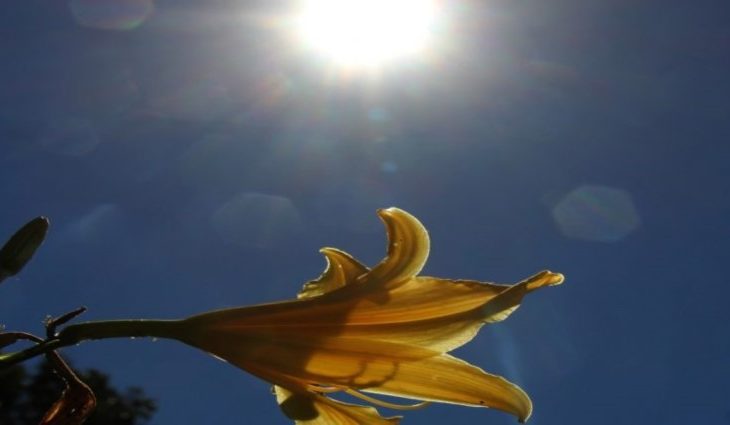 Quinta-feira tem previsão de tempo estável, com sol e variação de poucas nuvens em Mato Grosso do Sul