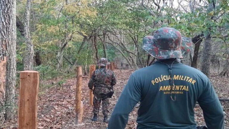 PMA emitiu mais de R$ 38 milhões de multas ambientais em 2021