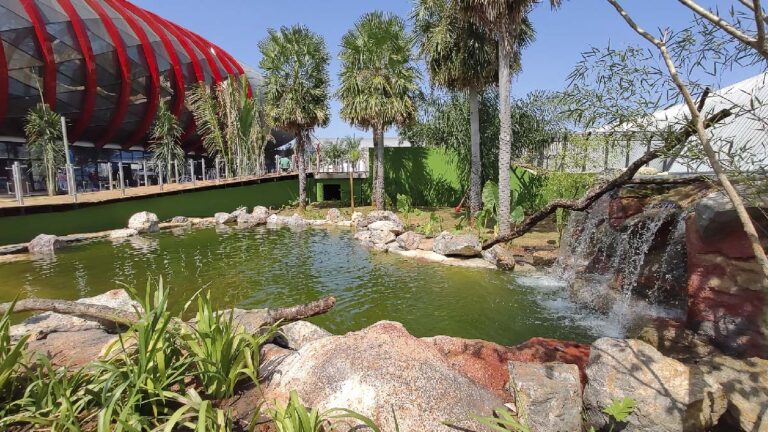 Bioparque Pantanal é escolhido como um dos 50 melhores lugares do mundo em 2023 pela TIME
