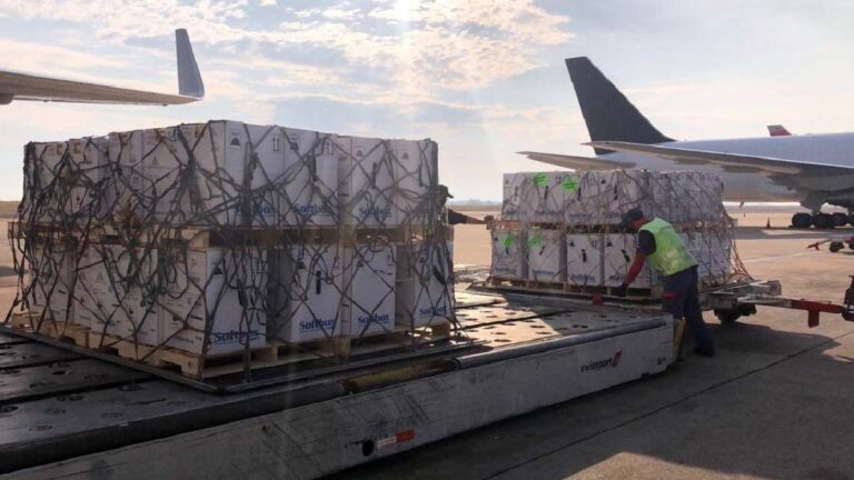 Covid-19: Brasil recebe mais 2 milhões de doses da vacina da Pfizer