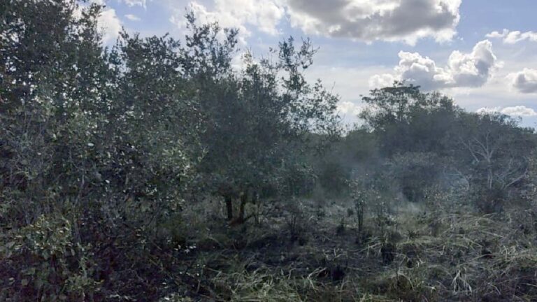 Bombeiros prendem homem que ateou fogo em área rural de Corumbá