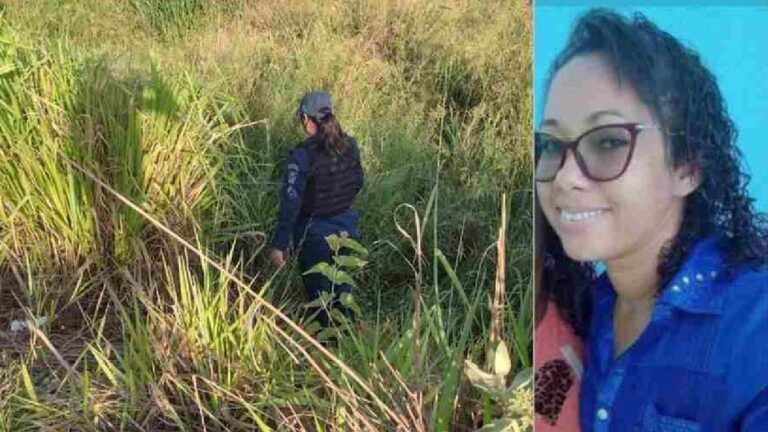 Preso por matar a mãe com 30 facadas participou de buscas pela vítima após o crime