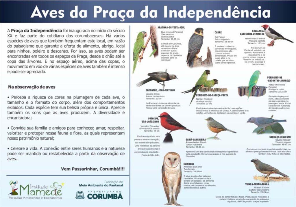 Evento “Vem Passarinhar MS” promove o birdwatching em Corumbá 2 placa aves