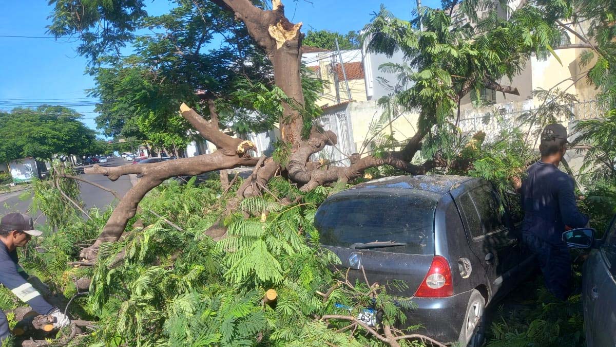 Você está visualizando atualmente Queda de galhos danificam três veículos no centro de Corumbá