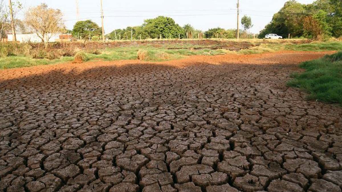 Leia mais sobre o artigo Estiagem leva governo federal a reconhecer situação de emergência em MS