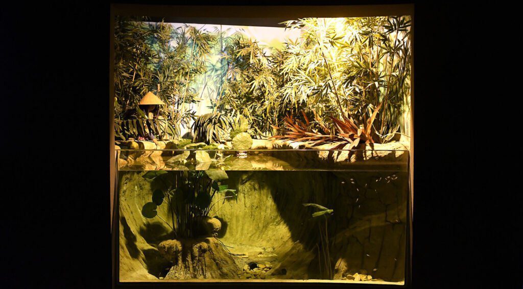 Bioparque Pantanal: conheça o maior circuito de aquários de água doce do mundo 23 Asia Fto Bruno Rezende 01