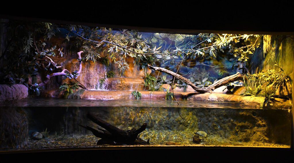 Bioparque Pantanal: conheça o maior circuito de aquários de água doce do mundo 4 Riachos Fto Bruno Rezende