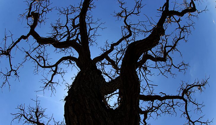 Sexta-feira fresca com sol e muitas nuvens em MS