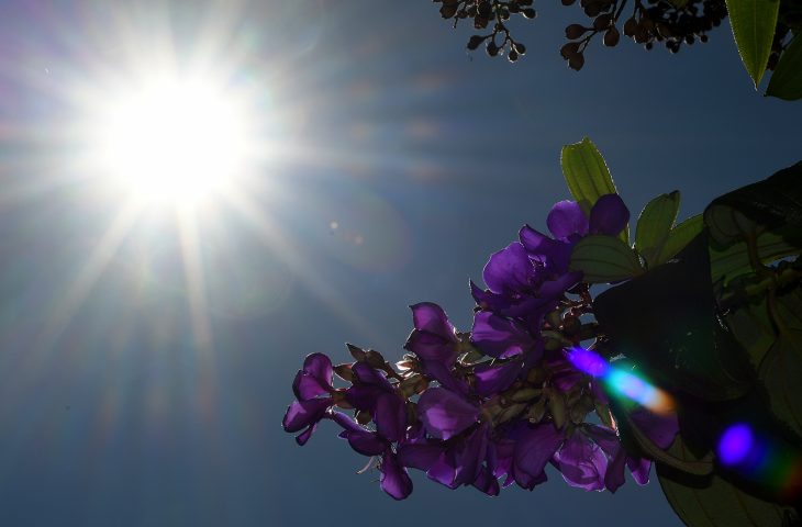 Tempo firme, calor e chuvas isoladas marcam a quinta-feira em Mato Grosso do Sul