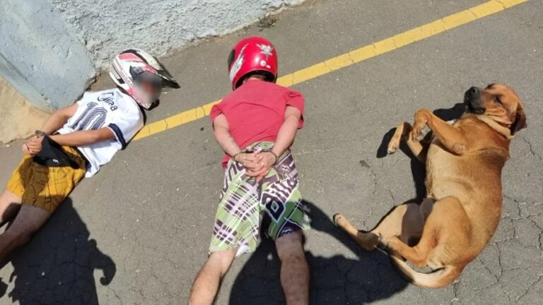 Cachorro ‘se rende’ ao ver abordagem policial: ‘Achou que era brincadeira