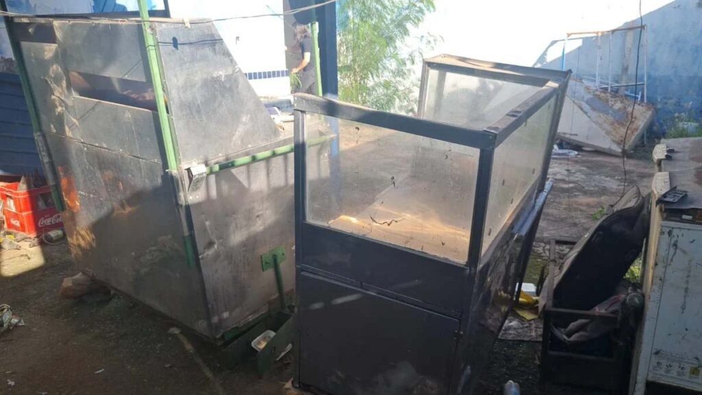 animais abandonados2