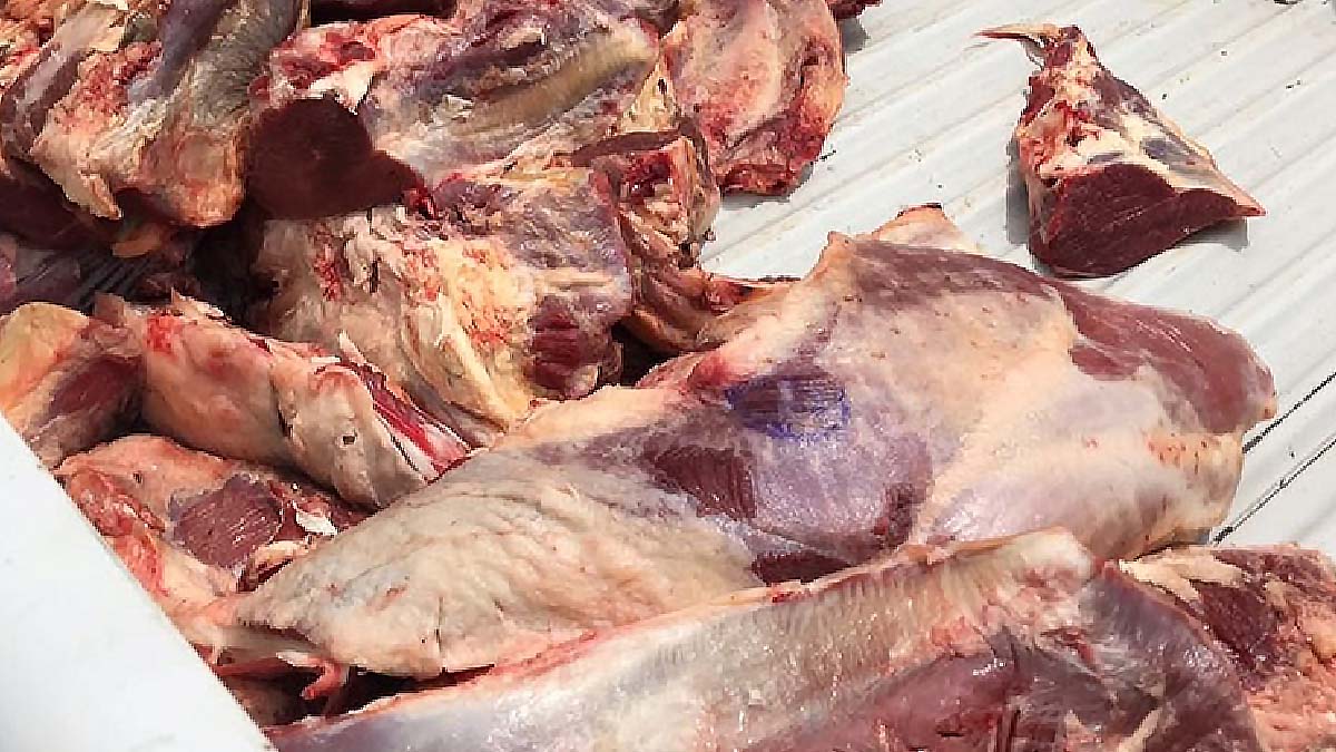 Você está visualizando atualmente Dono de conveniência é condenado por vender “carne imprópria” em Corumbá