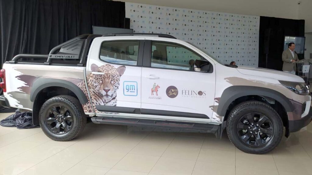 Programa Felinos Pantaneiros recebe apoio da General Motors 2 felinos pantaneiros2