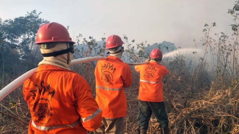 incêndios no Pantanal