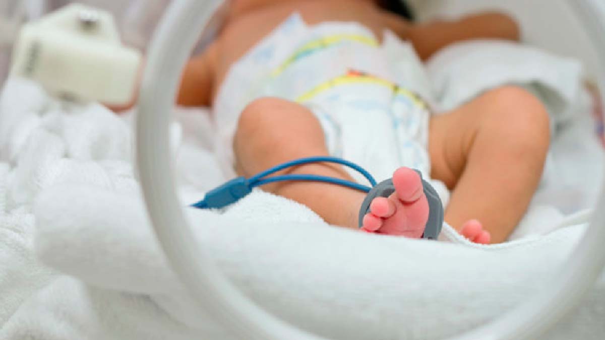neonato
