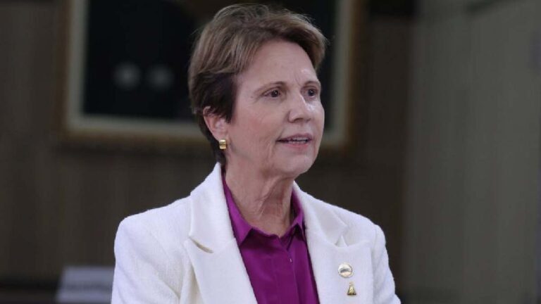 Ministra diz que Brasil tem fertilizantes suficientes até o início da próxima safra