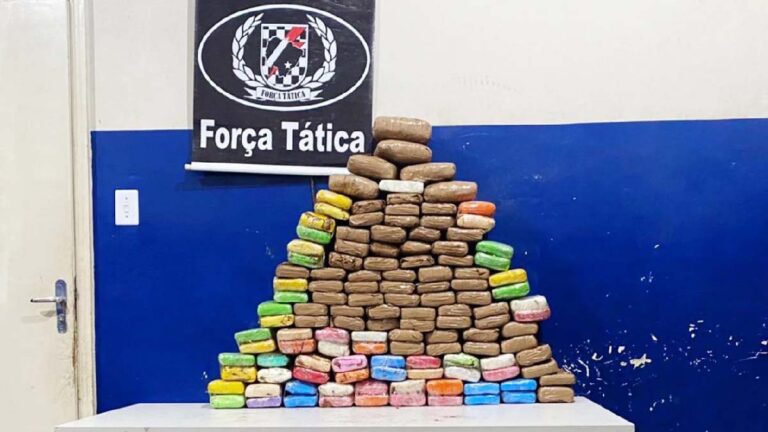 Após denúncia anônima Força Tática apreende 134 quilos de entorpecentes em Albuquerque